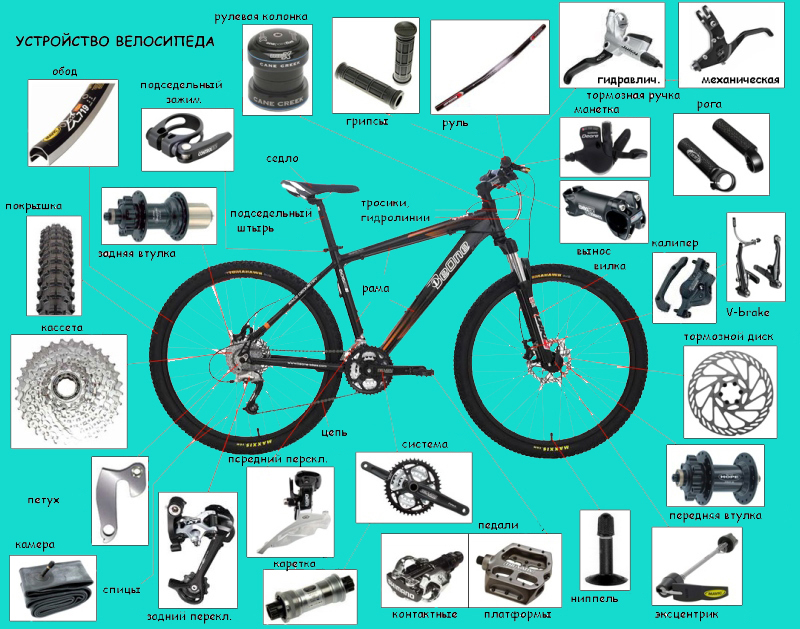 Название деталей велосипеда с картинками